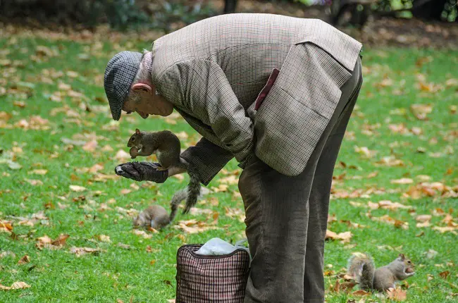 loving the squirrels