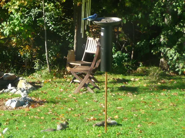 squirrel proof birdfeeder