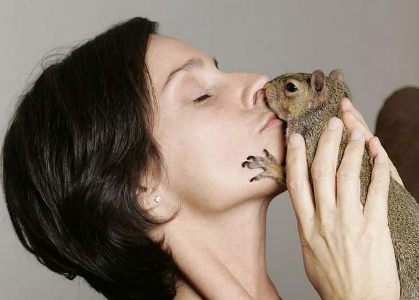 Squirrels as pets