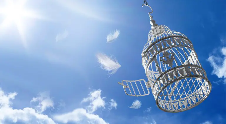 7 Hanging Bird Cages that Are Perfect for Any Backyard