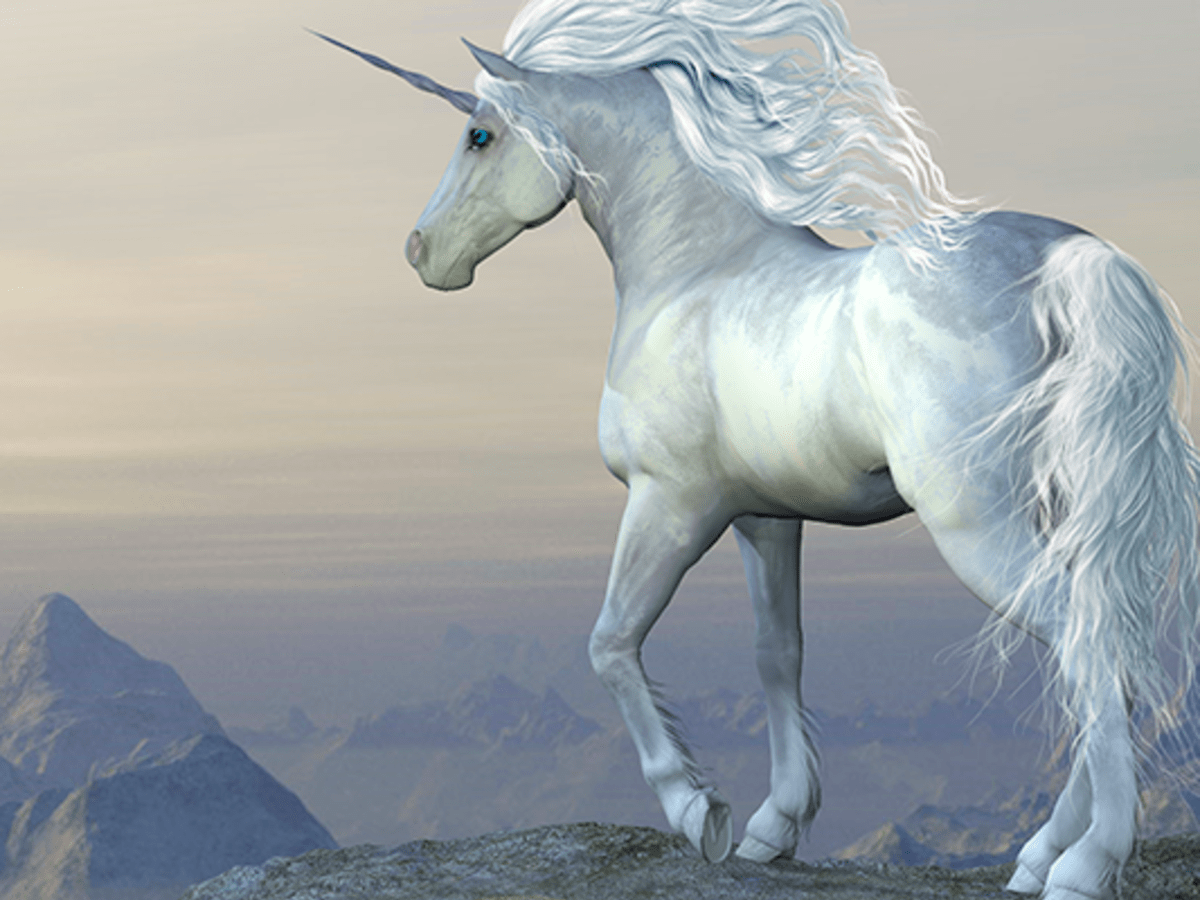 Код единорога. Фризская лошадь альбинос. Единорог настоящий.