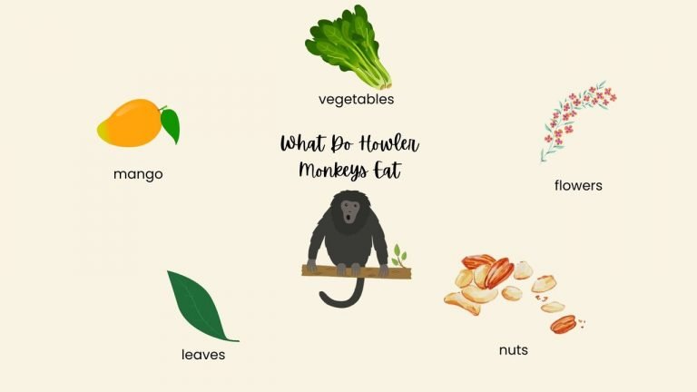 What Do Howler Monkeys Eat