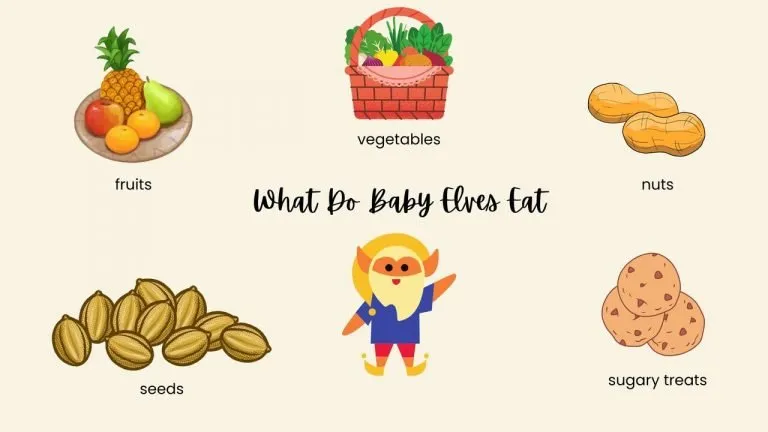What Do Baby Elves Eat
